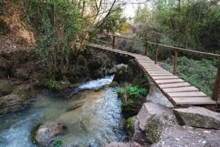 Mira, Villa de charme à Penafiel au Portugal près de la forêt - Photo 37