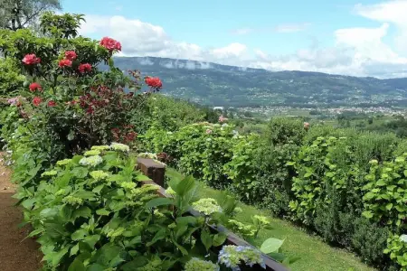 Casita da Lavandeira, Gîte rural avec jardin privé et barbecue à Ponte De Lima - Photo 29