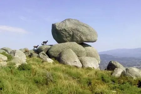 Casita da Lavandeira, Gîte rural avec jardin privé et barbecue à Ponte De Lima - Photo 32