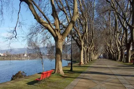 Casa da Castanheta, Maison de vacances indépendante, terrasse privée à Arcozelo - Photo 22