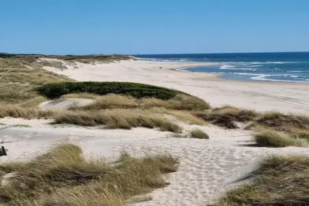 Casa da Castanheta, Maison de vacances indépendante, terrasse privée à Arcozelo - Photo 24