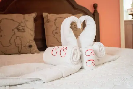 Casa da Castanheta, Maison de vacances indépendante, terrasse privée à Arcozelo - Photo 32