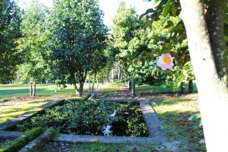 Casa da Adega, Excellent Gîte à Santa Comba avec parking et piscine communitaire - Photo 24