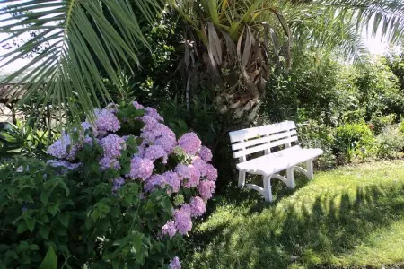 Casa do Forno, Gîte, piscine et jardin communs à Montemor-o-Novo Alentejo - Photo 22