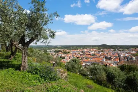 Casa do Olival, Ferme à Montemor-o-Novo Alentejo avec terrasse et jardin - Photo 32