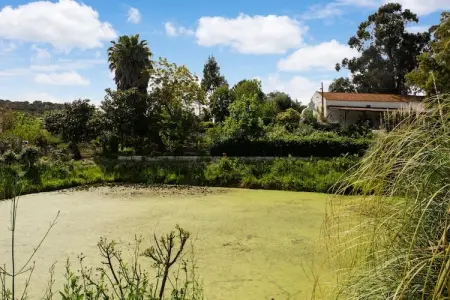Casa do Olival, Ferme à Montemor-o-Novo Alentejo avec terrasse et jardin - Photo 36