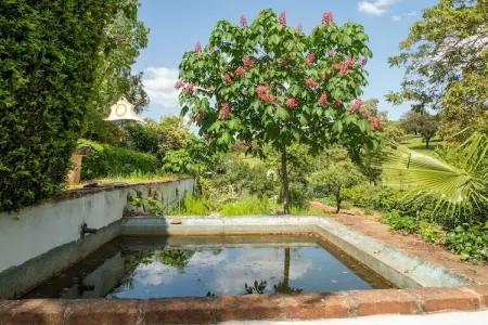 Casa da Figeira, Ferme à Montemor-o-Novo Alentejo avec terrasse privée - Photo 9