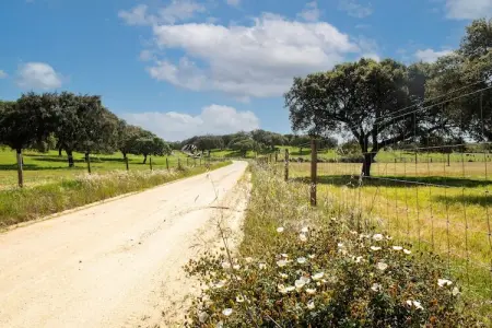 Casa da Figeira, Ferme à Montemor-o-Novo Alentejo avec terrasse privée - Photo 24