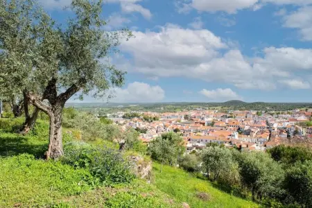 Casa da Figeira, Ferme à Montemor-o-Novo Alentejo avec terrasse privée - Photo 26