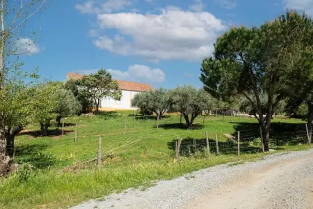 Casa da Figeira, Ferme à Montemor-o-Novo Alentejo avec terrasse privée - Photo 28