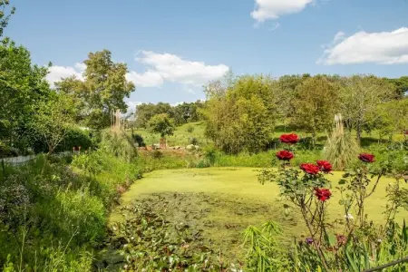 Casa da Figeira, Ferme à Montemor-o-Novo Alentejo avec terrasse privée - Photo 31