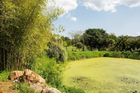 Casa da Figeira, Ferme à Montemor-o-Novo Alentejo avec terrasse privée - Photo 32