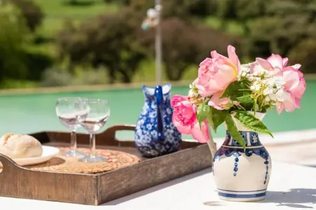 Casa da Figeira, Ferme à Montemor-o-Novo Alentejo avec terrasse privée - Photo 37