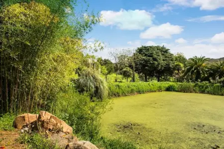 Casa do Forno de Pão, Maison à Montemor-o-Novo Alentejo avec piscine partagée - Photo 6