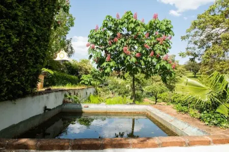 Casa do Forno de Pão, Maison à Montemor-o-Novo Alentejo avec piscine partagée - Photo 10