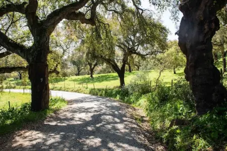 Casa do Forno de Pão, Maison à Montemor-o-Novo Alentejo avec piscine partagée - Photo 32