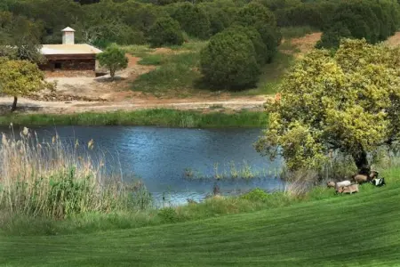 Casa do Forno de Pão, Maison à Montemor-o-Novo Alentejo avec piscine partagée - Photo 37