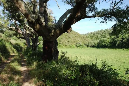 Casa da Adega, Gîte Magnifique à São Luís avec barbecue - Photo 24