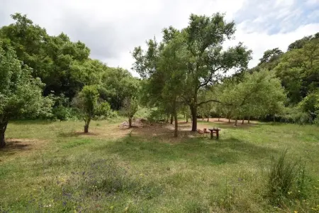 Casa do Tanque, Gîte calme à São Luís Alentejo dans la nature luxuriante - Photo 13