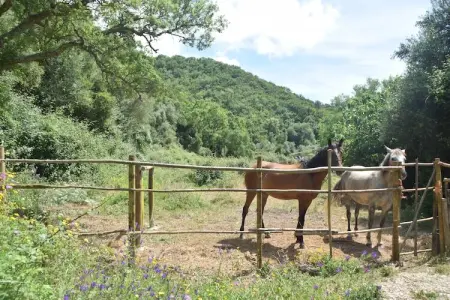 Casa do Tanque, Gîte calme à São Luís Alentejo dans la nature luxuriante - Photo 18
