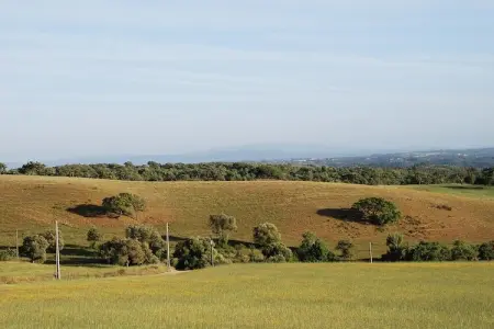 Casa do Tanque, Gîte calme à São Luís Alentejo dans la nature luxuriante - Photo 19