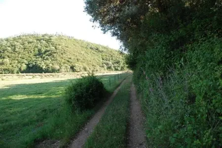 Casa do Tanque, Gîte calme à São Luís Alentejo dans la nature luxuriante - Photo 22