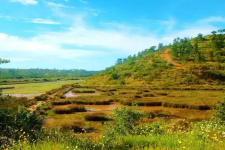 Casa do Tanque, Gîte calme à São Luís Alentejo dans la nature luxuriante - Photo 23