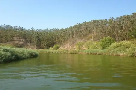 Casa do Tanque, Gîte calme à São Luís Alentejo dans la nature luxuriante - Photo 24