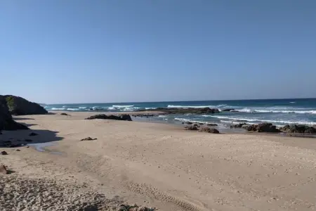 Casa do Tanque, Gîte calme à São Luís Alentejo dans la nature luxuriante - Photo 25