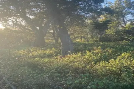 Casa do Tanque, Gîte calme à São Luís Alentejo dans la nature luxuriante - Photo 29