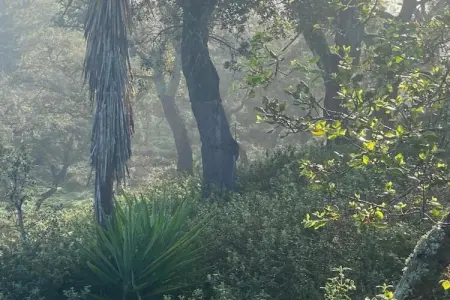 Casa do Tanque, Gîte calme à São Luís Alentejo dans la nature luxuriante - Photo 31