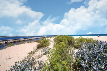 Vivenda Maximino, Magnifique villa à Vilamoura avec barbecue et piscine privée - Photo 34