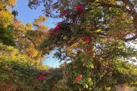 Villa Foz do Banho, Villa lumineuse terrasse privée, jardin à Monchique, Algarve - Photo 34