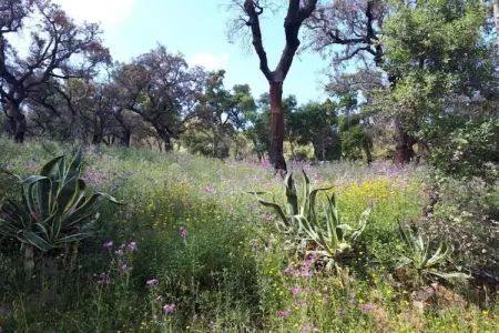 Villa Foz do Banho, Villa lumineuse terrasse privée, jardin à Monchique, Algarve - Photo 35