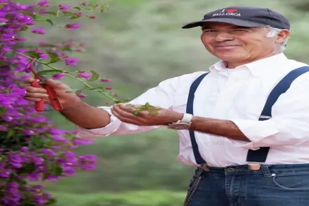 Villa Foz do Banho, Villa lumineuse terrasse privée, jardin à Monchique, Algarve - Photo 37