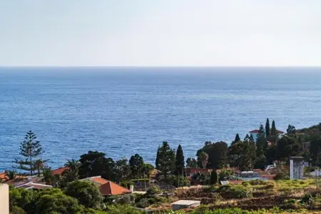 Quinta das Colmeias House, Belle Villa située à Santo António da Serra avec barbecue - Photo 21