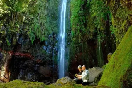 Quinta das Colmeias House, Belle Villa située à Santo António da Serra avec barbecue - Photo 23