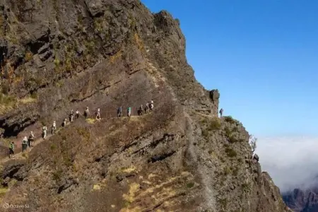 Quinta das Colmeias House, Belle Villa située à Santo António da Serra avec barbecue - Photo 27