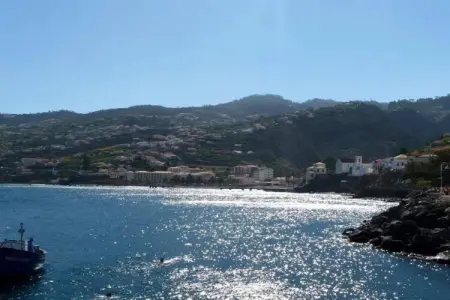 Quinta das Colmeias House, Belle Villa située à Santo António da Serra avec barbecue - Photo 29