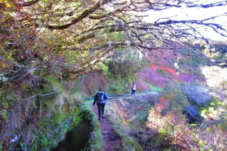 Quinta das Colmeias House, Belle Villa située à Santo António da Serra avec barbecue - Photo 33