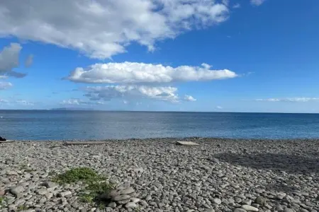 Quinta das Colmeias House, Belle Villa située à Santo António da Serra avec barbecue - Photo 34