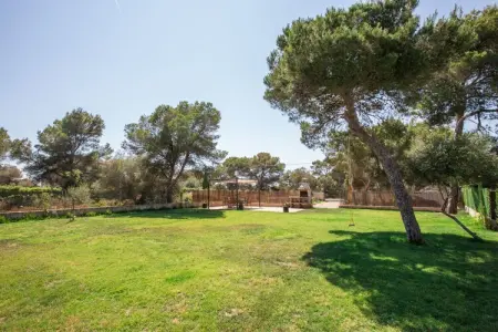 Villa Cala Pi, Charmante villa avec piscine à Torrent de Cala Pi - Photo 16