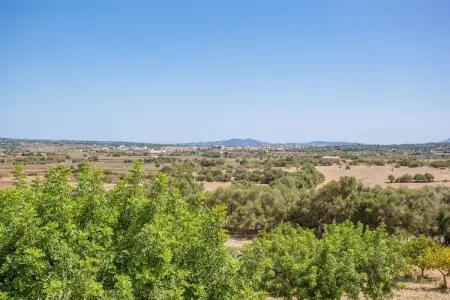 Sa Font, Villa confortable avec piscine à Petra - Photo 48