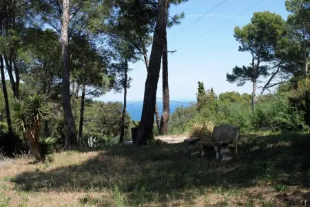 Casa Rey, Maison de vacances avec piscine, grand jardin avec piscine et belle vue à Begur - Photo 32