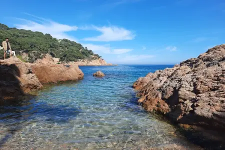 Casa Rey, Maison de vacances avec piscine, grand jardin avec piscine et belle vue à Begur - Photo 38
