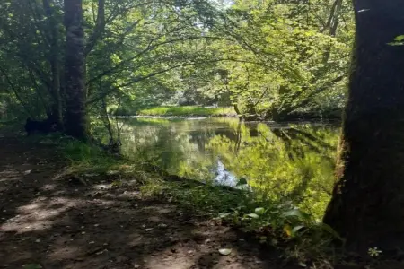 Maison de vacances, Maison périgourdine en pierre avec piscine privée, près de sites touristiques. - Photo 30