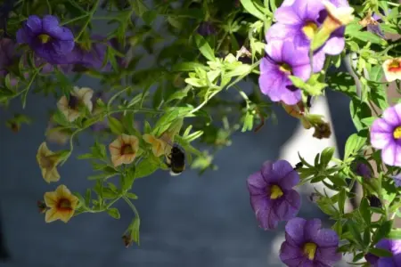 Maison de vacances, Maison périgourdine en pierre avec piscine privée, près de sites touristiques. - Photo 33
