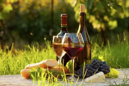 Maison de vacances, Maison périgourdine en pierre avec piscine privée, près de sites touristiques. - Photo 38