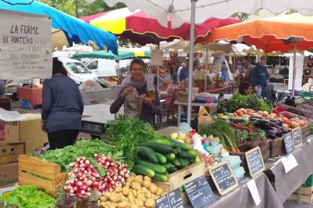 Maison de vacances, Maison périgourdine en pierre avec piscine privée, près de sites touristiques. - Photo 39