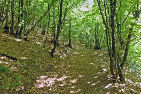 Insieme in Panche, Bel appartement dans les collines de Pistoia - Photo 30